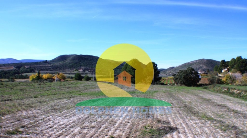 Valencia - Ontinyent - 175958m2