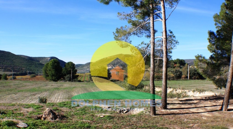 Valencia - Ontinyent - 175958m2