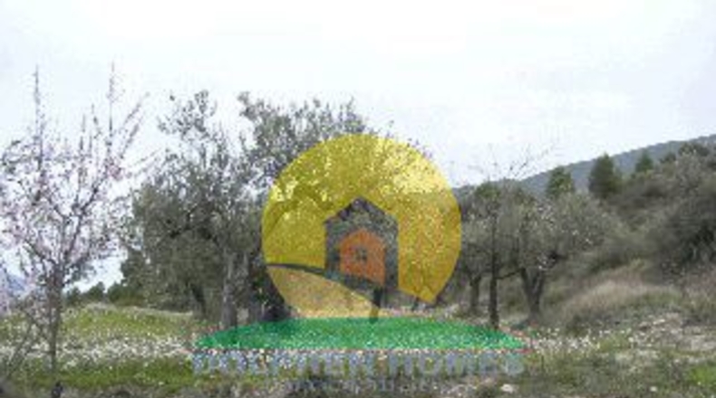 Alicante - Almudaina - 21860m2
