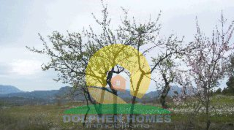 Alicante - Almudaina - 21860m2