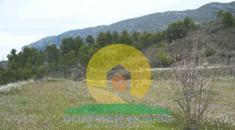 Alicante - Almudaina - 21860m2