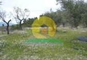Terreno no urbanizable en venta en Almudaina ref: TR38767 foto