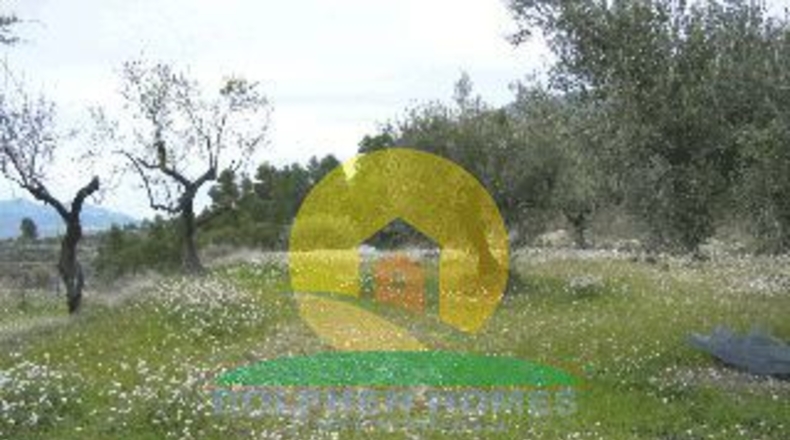 Alicante - Almudaina - 21860m2