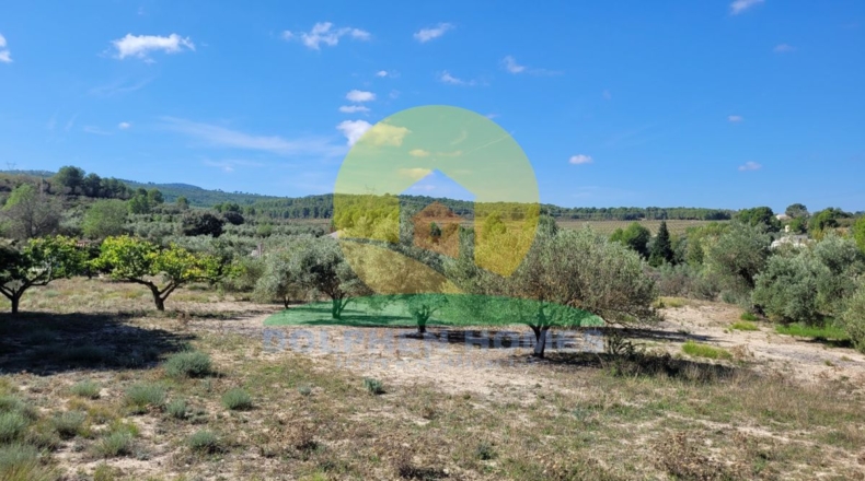 Valencia - Onteniente - 6697m2
