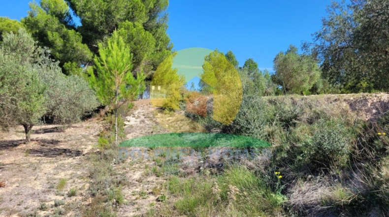 Valencia - Onteniente - 6697m2