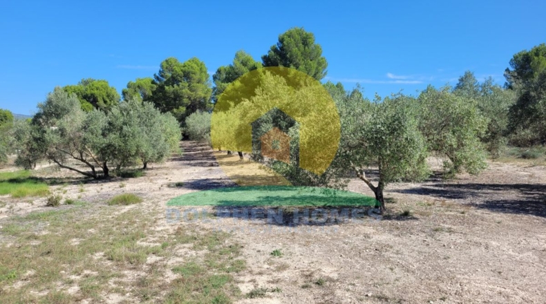 Valencia - Onteniente - 6697m2