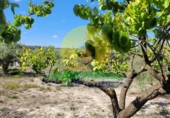 Terreno en venta en Ontinyent ref: TR94120 foto