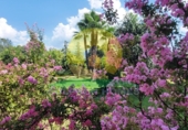 Villa con terreno en venta en Ontinyent ref: TR103902 foto
