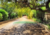 Villa con terreno en venta en Ontinyent ref: TR103902 foto