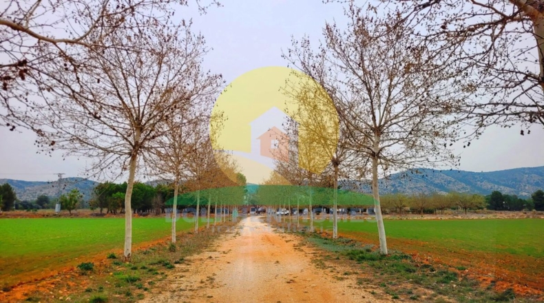 Valencia - Bocairente - 25000m2