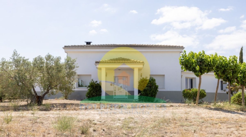 Alicante - Biar - 17742m2