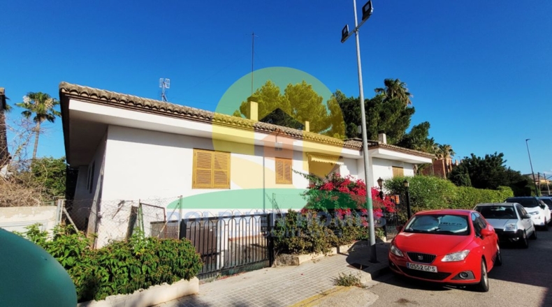 Valencia - Alberique - 779m2
