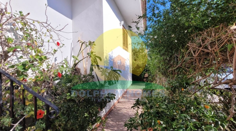Valencia - Alberique - 779m2