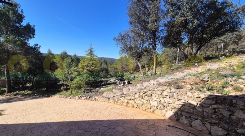 Valencia - Bocairent - 4061m2