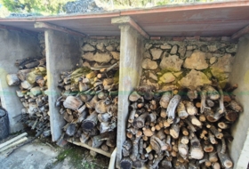 Foto 9