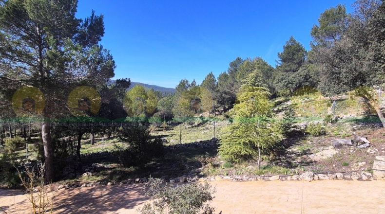 Valencia - Bocairent - 4061m2