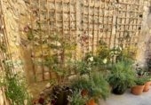 Village house for sale in Ontinyent ref: TR262529 photo