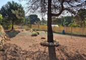 Xalet independent amb terreny en venda a Bocairent ref.: TR327174 foto