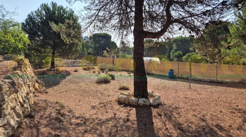 Valencia - Bocairent - 882m2