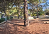 Xalet independent amb terreny en venda a Bocairent ref.: TR327174 foto