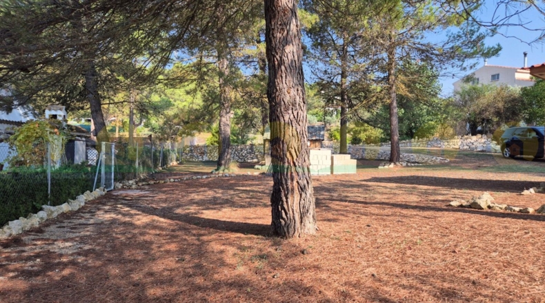 Valencia - Bocairent - 882m2