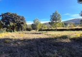 Finca rústica en venta en Ontinyent ref: TR365646 foto