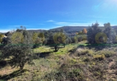 Finca rústica en venta en Ontinyent ref: TR365646 foto