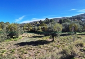 Finca rústica en venta en Ontinyent ref: TR365646 foto