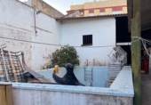 Xalet adossat amb terreny en venda a Dos Hermanas ref.: TR76906 foto