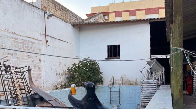 Sevilla - Dos Hermanas - 541m2