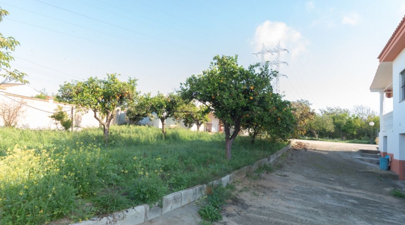Sevilla - Alcalá de Guadaíra - 2873m2