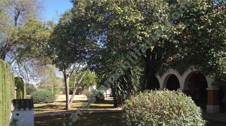 Sevilla - Écija - 8553m2