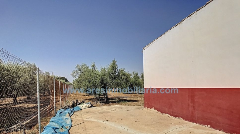 Córdoba - La Carlota - 6150m2