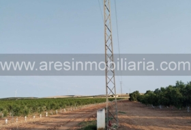 Écija 20000&nbsp;m² 