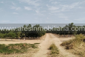 Écija 20000&nbsp;m² 