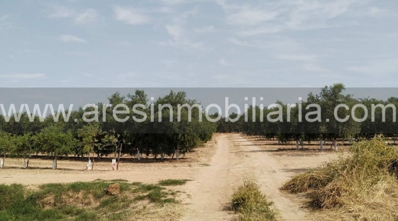 Sevilla - Écija - 20000m2