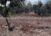 Non-developable land for sale in La Carlota ref: TR369164 photo