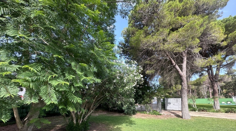 Cádiz - El Puerto de Santa María - 9200m2