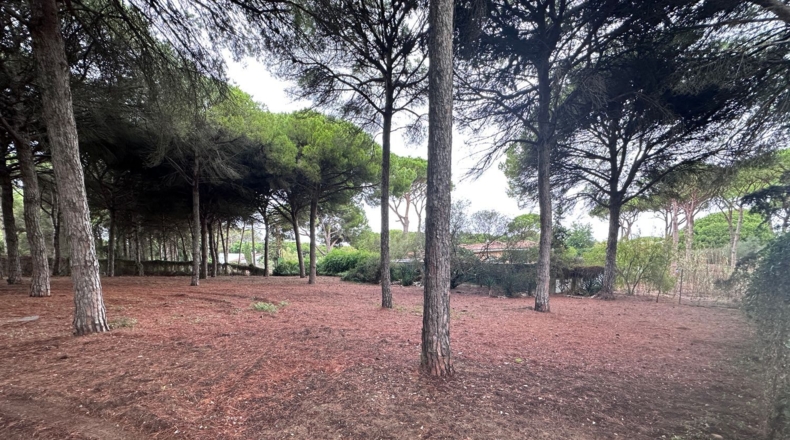 Cádiz - El Puerto de Santa María - 9200m2
