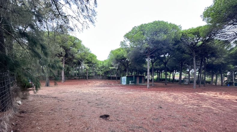 Cádiz - El Puerto de Santa María - 9200m2