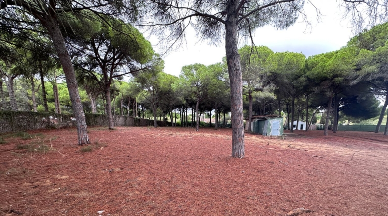 Cádiz - El Puerto de Santa María - 9200m2
