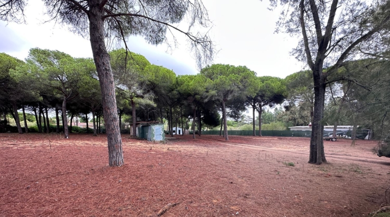 Cádiz - El Puerto de Santa María - 9200m2