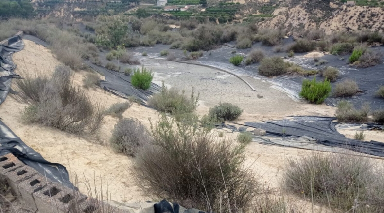 Murcia - Murcia - 18000m2