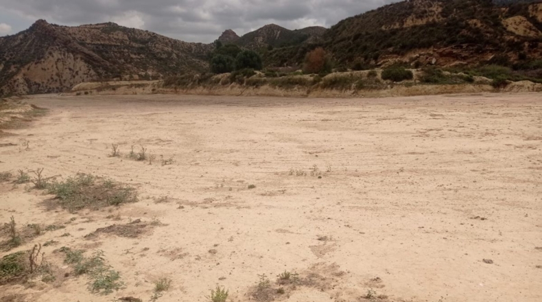 Murcia - Murcia - 18000m2