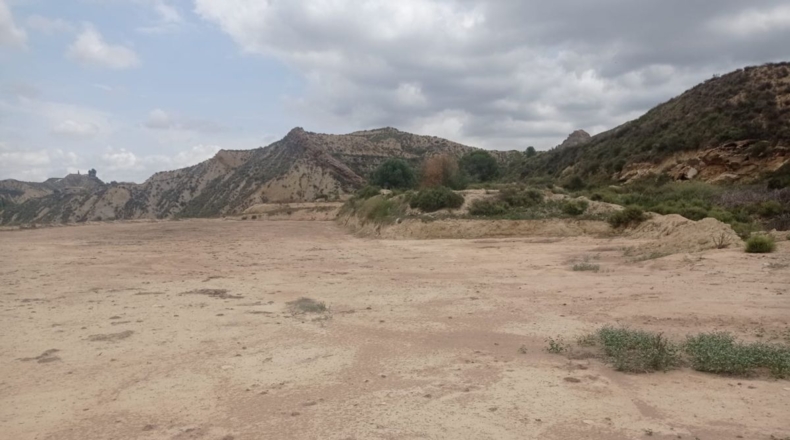 Murcia - Murcia - 18000m2