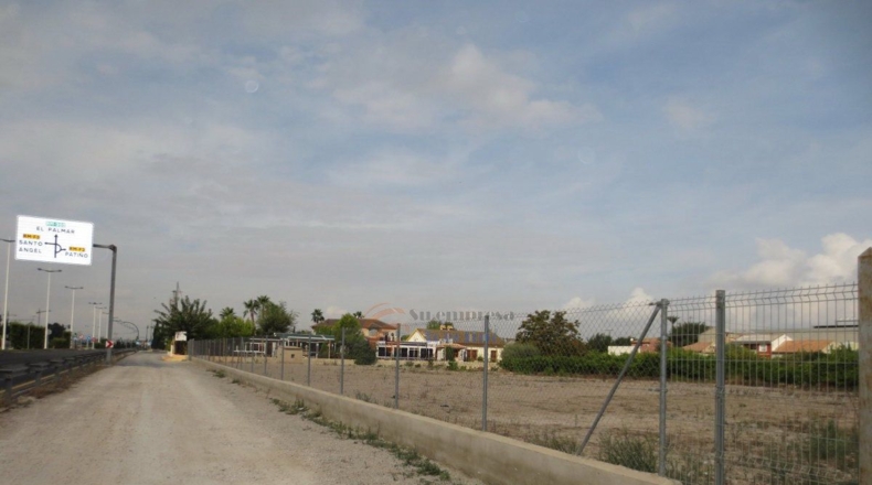 Murcia - Algezares - 3000m2