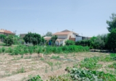 Terreny no urbanitzable en venda a la España, Múrcia, ref.: TR80795 foto