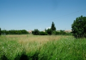 Terreny no urbanitzable en venda a la España, Múrcia, ref.: TR80795 foto