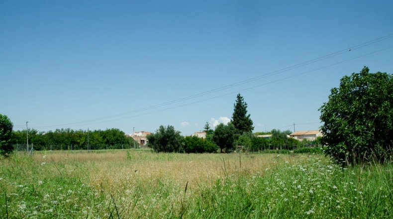 Murcia - Murcia - 3117m2