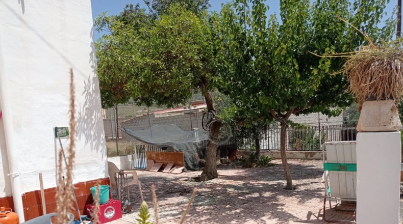 Murcia - Abanilla - 609m2